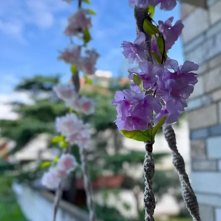 Leonidas شقة فندقية Vrasná