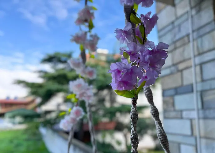 Leonidas Aparthotel Vrasná