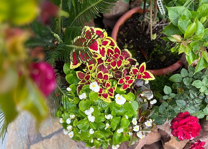 Leonidas شقة فندقية