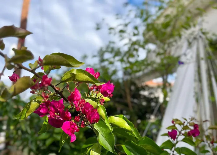 Leonidas شقة فندقية