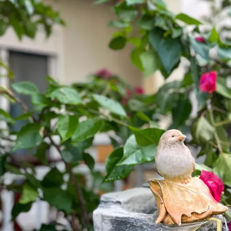 Leonidas * Βρασνά