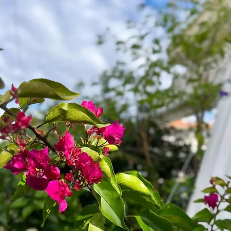 Leonidas Ξενοδοχείο με διαμερίσματα